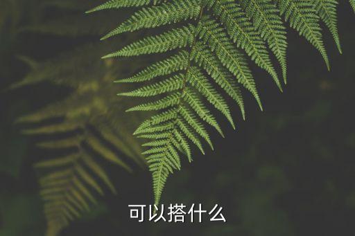 積木汽車機器人,用積木拼汽車機器人