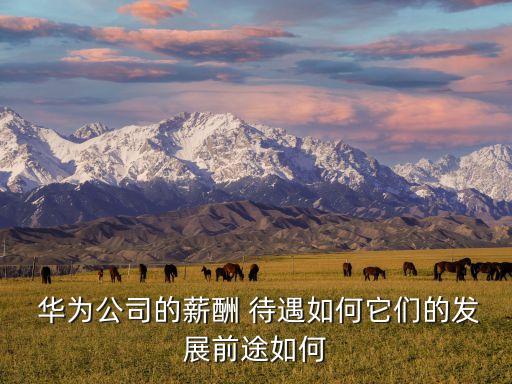  華為公司的薪酬 待遇如何它們的發(fā)展前途如何
