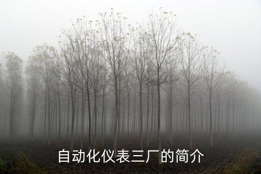 自動(dòng)化儀表三廠的簡(jiǎn)介