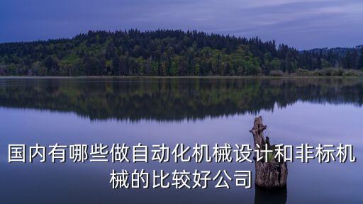 國(guó)內(nèi)有哪些做自動(dòng)化機(jī)械設(shè)計(jì)和非標(biāo)機(jī)械的比較好公司