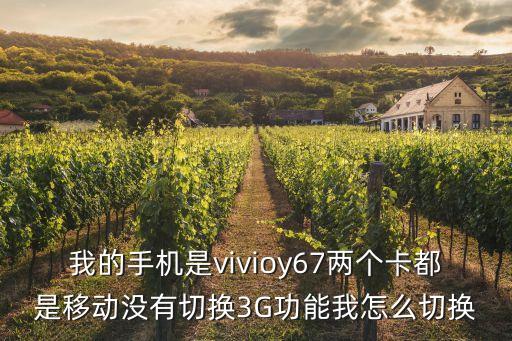 我的手機(jī)是vivioy67兩個(gè)卡都是移動(dòng)沒有切換3G功能我怎么切換