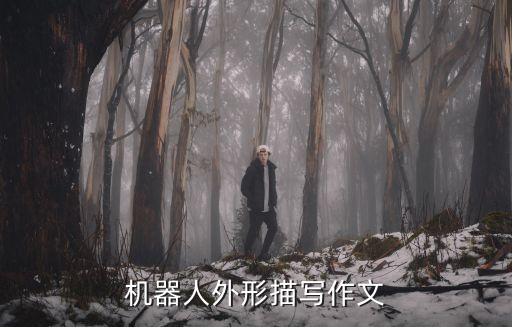 機(jī)器人外形描寫作文