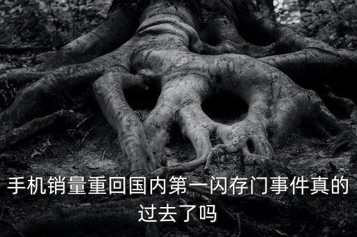 手機(jī)銷(xiāo)量重回國(guó)內(nèi)第一閃存門(mén)事件真的過(guò)去了嗎
