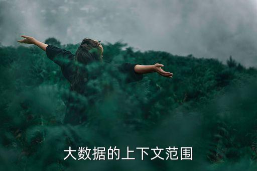 大數(shù)據(jù)的上下文范圍