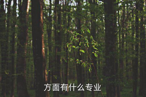 方面有什么專業(yè)