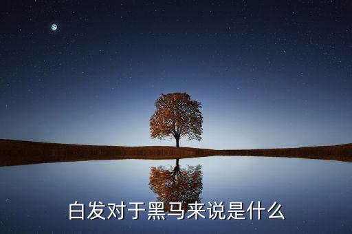 白發(fā)對(duì)于黑馬來(lái)說(shuō)是什么