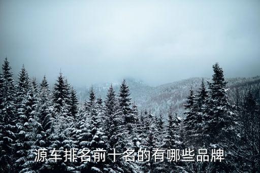 源車排名前十名的有哪些品牌
