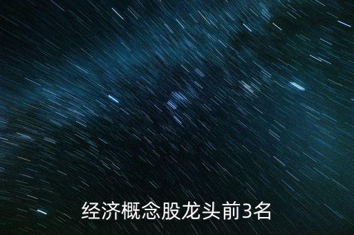 經(jīng)濟概念股龍頭前3名