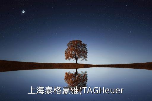 上海泰格豪雅(TAGHeuer