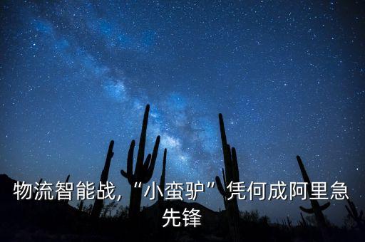 物流智能戰(zhàn),“小蠻驢”憑何成阿里急先鋒
