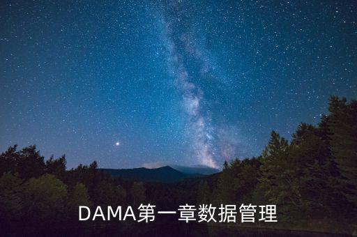 DAMA第一章數(shù)據(jù)管理