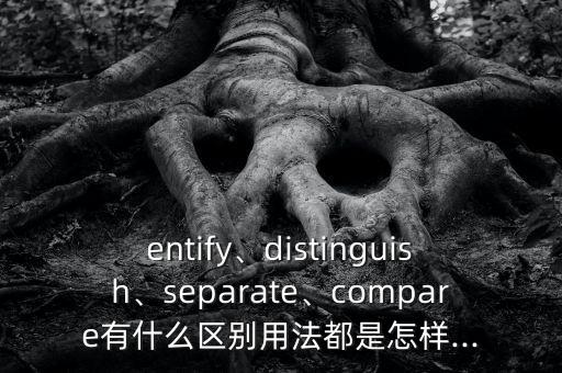 identy,識別最優(yōu)理論