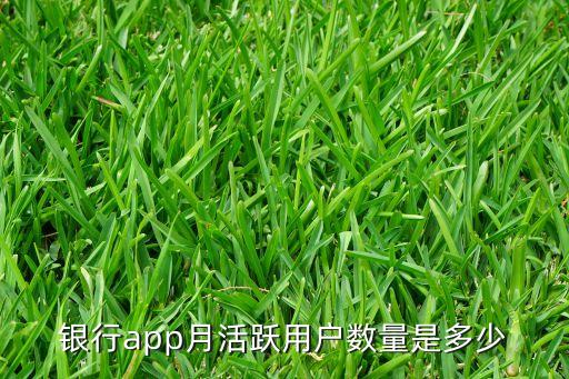 銀行app月活躍用戶(hù)數(shù)量是多少
