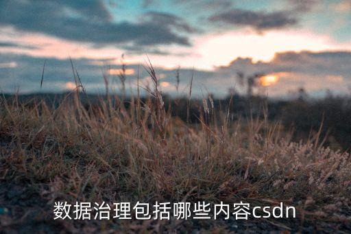 數(shù)據治理 目的,數(shù)據治理十步法:找癥狀明確目標