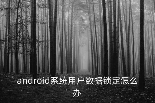 android系統(tǒng)用戶數(shù)據(jù)鎖定怎么辦