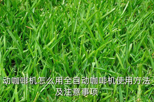 咖啡粉自動化包裝設備,包裝自動化包裝設備