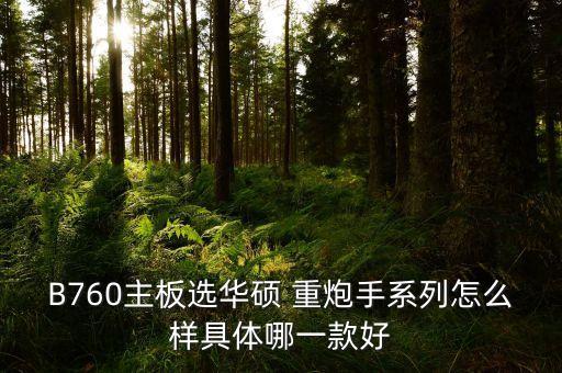 B760主板選華碩 重炮手系列怎么樣具體哪一款好