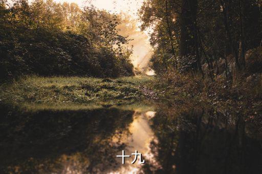 十九