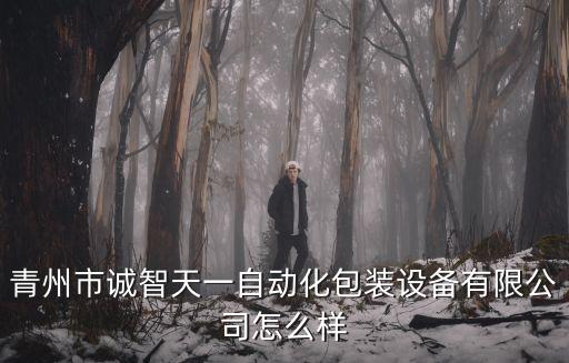 青州市誠(chéng)智天一自動(dòng)化包裝設(shè)備有限公司怎么樣