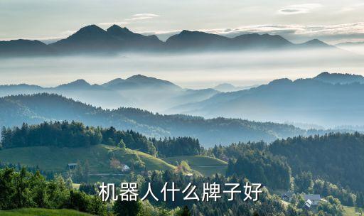 機器人什么牌子好