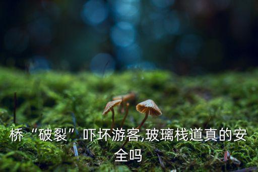 玻璃棧道自動化設(shè)備生產(chǎn)線,玻璃棧道生產(chǎn)廠家