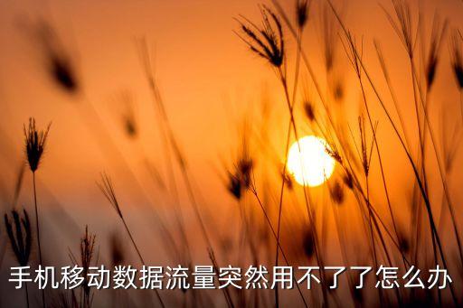 手機(jī)移動(dòng)數(shù)據(jù)流量突然用不了了怎么辦
