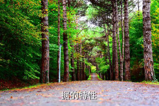 據(jù)的特性