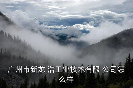 廣州市新龍 浩工業(yè)技術(shù)有限 公司怎么樣