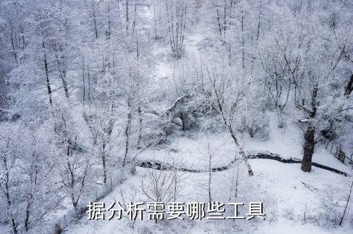 據(jù)分析需要哪些工具