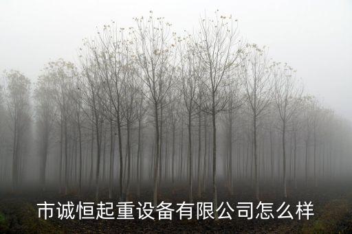 福建自動化起重機公司,自動起重機解決方案