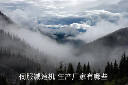 伺服減速機 生產(chǎn)廠家有哪些