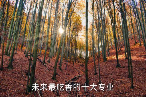 未來最吃香的十大專業(yè)