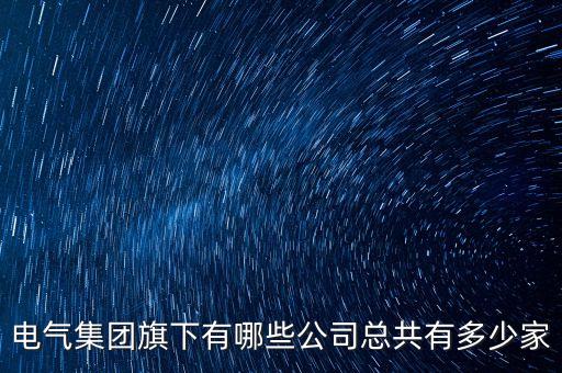 電氣集團(tuán)旗下有哪些公司總共有多少家