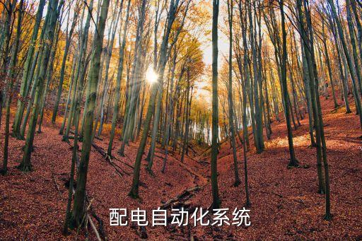 鄭州自動(dòng)化配電網(wǎng)公司,配電網(wǎng)自動(dòng)化技術(shù)