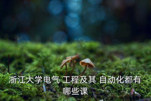 浙江大學(xué)電氣 工程及其 自動化都有哪些課