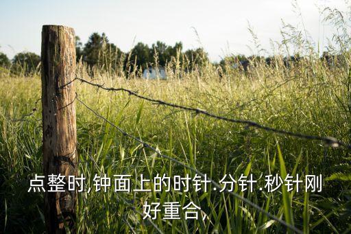 類似秒針的數(shù)據(jù)提供方,二手資料