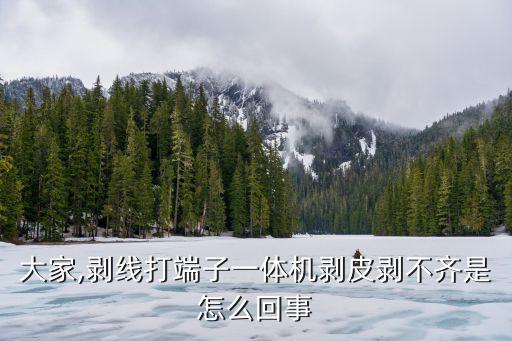 大家,剝線打端子一體機(jī)剝皮剝不齊是怎么回事