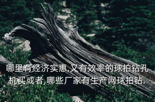 哪里有經(jīng)濟實惠,又有效率的球拍鉆孔機買或者,哪些廠家有生產(chǎn)網(wǎng)球拍鉆...