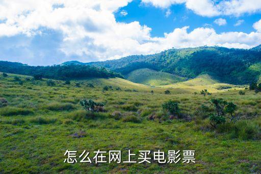 影票網(wǎng),怎么在網(wǎng)上買電影票?看這里!