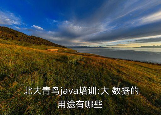 北大.大數(shù)據(jù),北大大數(shù)據(jù)研究院 重慶