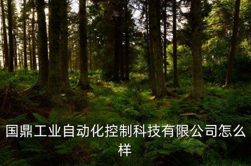 國(guó)鼎工業(yè)自動(dòng)化控制科技有限公司怎么樣