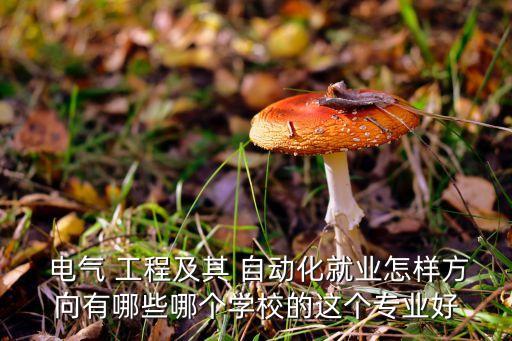 電氣 工程及其 自動(dòng)化就業(yè)怎樣方向有哪些哪個(gè)學(xué)校的這個(gè)專業(yè)好