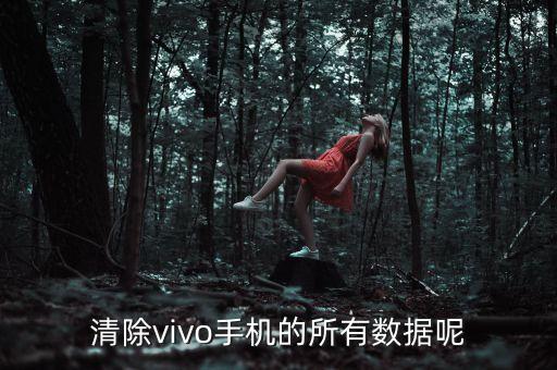 數(shù)據(jù)雙清,魅族是怎么清空數(shù)據(jù)的?