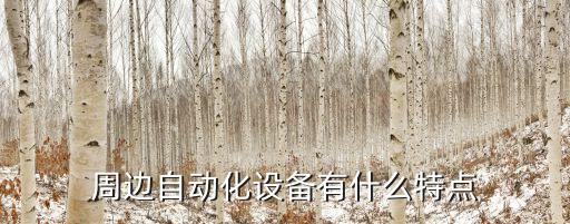 周邊自動(dòng)化設(shè)備有什么特點(diǎn)