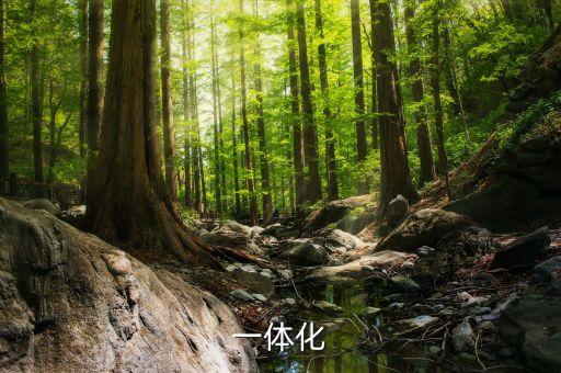 自動化設備機架生產(chǎn),煙花爆竹生產(chǎn)自動化設備