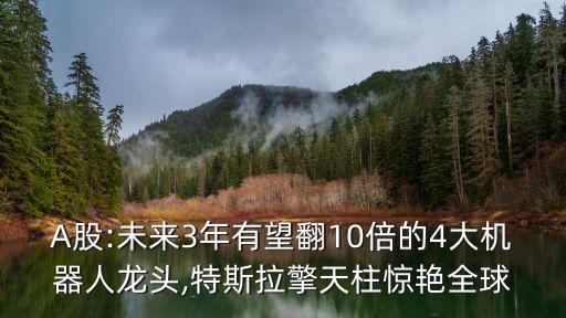 A股:未來3年有望翻10倍的4大機器人龍頭,特斯拉擎天柱驚艷全球
