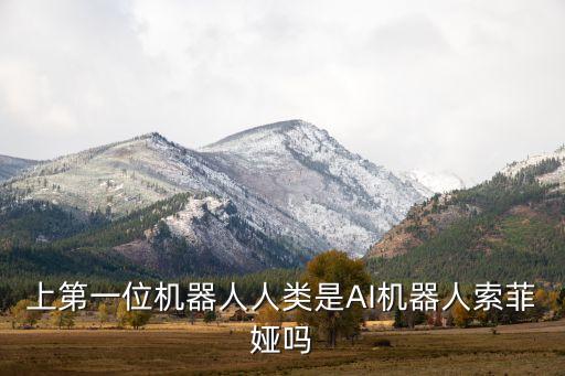 上第一位機(jī)器人人類是AI機(jī)器人索菲婭嗎
