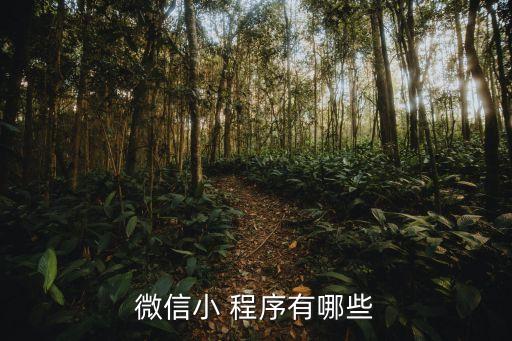 自動(dòng)化設(shè)備售后服務(wù)小程序,格力空調(diào)售后服務(wù)小程序