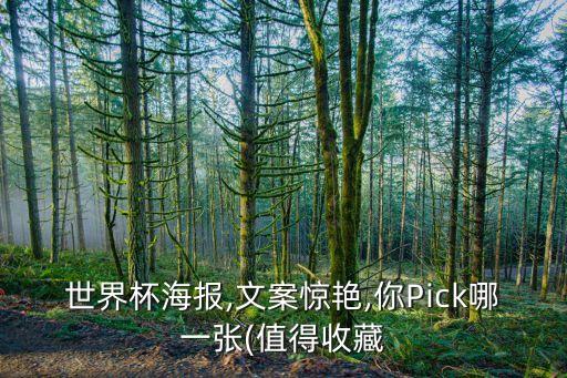 世界杯海報,文案驚艷,你Pick哪一張(值得收藏