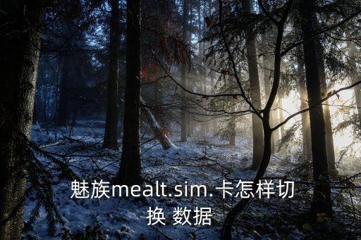  魅族mealt.sim.卡怎樣切換 數(shù)據(jù)